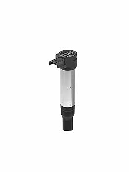 Amazon.com: BERU ZS385 Ignition and Heating System : Automotive